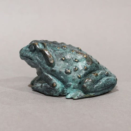 FL094 Colorado River Toad $350 at Hunter Wolff Gallery
